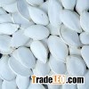 snow white pumpkin melon seeds