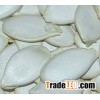 Black Hybrid Melon Seeds
