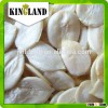 Discount hybrid watermelon seed