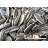 Sunflower Seeds