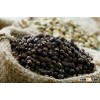 Black Pepper