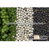 Vietnam Black pepper (poivre noir) 500g/l, 550g/l, 570g/l and white pepper (poivre blan) price for w