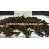 Star Anise/ Star Aniseeed Autumn Crop 2015 Good quality for wholesale (Ms. Emma: +84965152844)