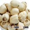Dried White Lotus Seed Without Plumule Lotus Seeds GRADE A