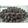 Dried black/ red/ white lotus seed and dried lotus root at the best price In Vietnam