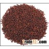 Mustard Seeds Best Quality