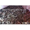 moringa (leave powder, seeds)-HIGH QUALITY-BEST PRODUCT BEST PRICE