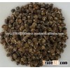 Dried Moringa seeds