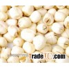 Dried lotus seeds Red/White, with shell/without shell GRADE A