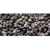 Poppy Seeds For Sale !!.