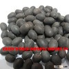 HIGH QUALITY_DRIED LOTUS SEED WITH BLACK SHELL