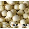 WHITE ,BLACK,PURPLE Dried White Lotus Seed Without Plumule Lotus Seeds GRADE A