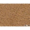 MUSTARD SEEDS