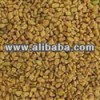 Allorbe / Heno griego / albolga / albolba / alvolva y otras variants