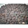 Lotus Seed