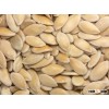 Melon Seeds