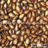 melon seed