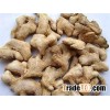 Dried Ginger Whole for supply