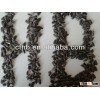 Sunflower seeds for oil