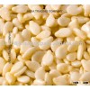 PREMIUM QUALITY INDIAN SESAME SEEDS