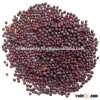 Mustard Seeds