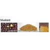 Mustard seed Yellow Mustard seeds and powder High quality for sale