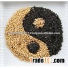 White/Black sesame seed Grade A for sale