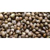 Hulled HEMP SEEDS
