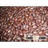 Castor Seeds