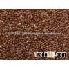 Teff Seeds/Teff grains/Quinoa grains
