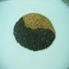 Sesame