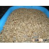 Breadfruit Seeds