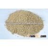 India natural sesame seeds 99-1-1