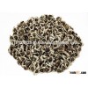 Moringa Seed