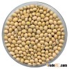 Superfine Quality Indian Soya Bean Seeds