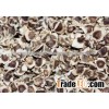 MORINGA OLIFERIA SEEDS /MORINGA SEEDS INDIA ORIGIN