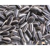 Sunflower Seed, Sunflower Oil, Pumpkin Seed