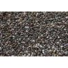 Chia Seeds
