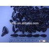 crop 2015 Sunflower seeds kernel 5009. 1121 .909. for food