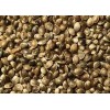 Grade A Hemp Seeds