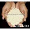 Best quality White Sesame Seeds