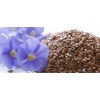 Flax Seeds or Linseed