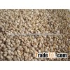 New crop White Sesame Seeds