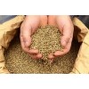 Industrial Hemp seeds (no narcotic)