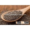Chai Seeds