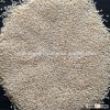 Sortex White Hulled Sesame Exporters