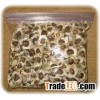 High quality moringa oleifera seed /Moringa Seeds For Cultivation