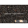 Black Sesame Seed