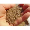 ALFALFA SEEDS AND HAY