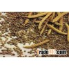 Guar seeds